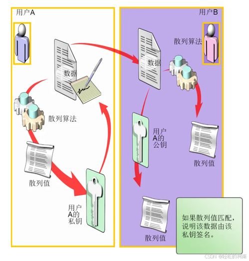 Windows環境下的數字簽名與數字內容制作服務 構建可信網絡安全的基石